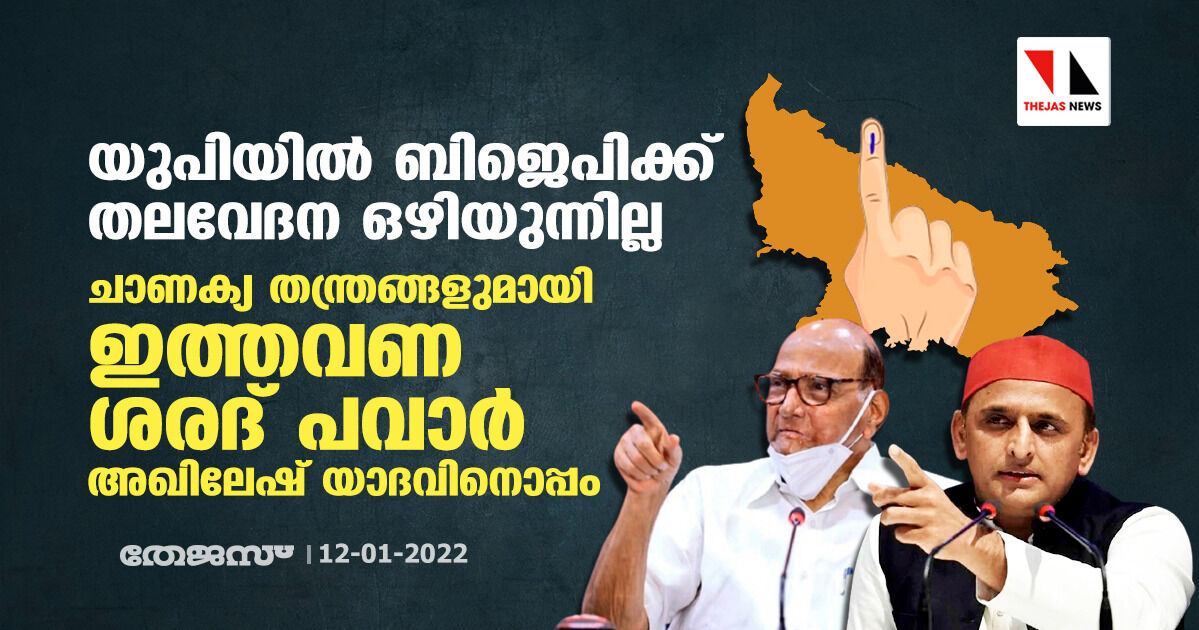 ബിജെപിക്ക് തലവേദന സൃഷ്ടിക്കുന്ന അടുത്ത നീക്കം; യുപി തിരഞ്ഞെടുപ്പില്‍ ശരദ് പവാര്‍ അഖിലേഷ് യാദവിനൊപ്പം