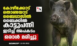 കോഴിക്കോട് തൊണ്ടയാട് ബൈപ്പാസില്‍ ബൈക്കില്‍ കാട്ടുപന്നി ഇടിച്ച് അപകടം: ഒരാള്‍ മരിച്ചു