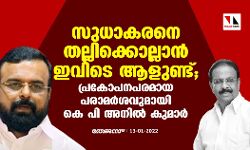 സുധാകരനെ തല്ലിക്കൊല്ലാൻ ഇവിടെ ആളുണ്ട്; പ്രകോപനപരമായ പരാമർശവുമായി കെ പി അനിൽ കുമാർ