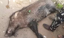 เดคเตเดฃเตเดเดฏเดพเดเต เดฌเตเดชเตเดชเดพเดธเดฟเดฒเตโ เดเดฐเดพเดณเตเดเต เดฎเดฐเดฃเดคเตเดคเดฟเดจเดฟเดเดฏเดพเดเตเดเดฟเดฏ เดเดพเดเตเดเตเดชเดจเตเดจเดฟเดฏเต เดตเตเดเดฟเดตเตเดเตเดเต เดเตเดจเตเดจเต เดคเตเดฃเตเดเดฏเดพเดเต เดฌเตเดชเตเดชเดพเดธเดฟเดฒเตโ เดเดฐเดพเดณเตเดเต เดฎเดฐเดฃเดคเตเดคเดฟเดจเดฟเดเดฏเดพเดเตเดเดฟเดฏ เดเดพเดเตเดเตเดชเดจเตเดจเดฟเดฏเต เดตเตเดเดฟเดตเตเดเตเดเต เดเตเดจเตเดจเต