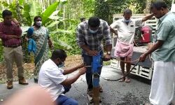 เดคเตเดฐเดเตเดเดฎเตเดฎเดฒเตโ เดเดเดเตเดเดฏเด เดฑเตเดกเต เดชเตเดฐเดตเดฐเตโเดคเตเดคเดฟเดฏเดฟเดฒเตโ เดเตเดฐเดฎเดเตเดเตเดเต; เดชเตเดคเต เดฎเดฐเดพเดฎเดคเตเดคเตเดฎเดจเตเดคเตเดฐเดฟเดเตเดเต เดชเดฐเดพเดคเดฟ เดจเดฒเตโเดเดฟ เดคเตเดฐเดเตเดเดฎเตเดฎเดฒเตโ เดเดเดเตเดเดฏเด เดฑเตเดกเต เดชเตเดฐเดตเดฐเตโเดคเตเดคเดฟเดฏเดฟเดฒเตโ เดเตเดฐเดฎเดเตเดเตเดเต; เดชเตเดคเต เดฎเดฐเดพเดฎเดคเตเดคเตเดฎเดจเตเดคเตเดฐเดฟเดเตเดเต เดชเดฐเดพเดคเดฟ เดจเดฒเตโเดเดฟ