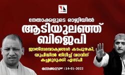 നേതാക്കളുടെ രാജിയില്‍ ആടിയുലഞ്ഞ് ബിജെപി; ജാതിസമവാക്യങ്ങള്‍ കടപുഴകി, യുപിയില്‍ തിരിച്ച് വരവിന് കച്ചമുറുക്കി എസ്പി