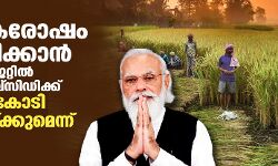 കര്ഷകരോഷം തണുപ്പിക്കാന് അടുത്ത കേന്ദ്ര ബജറ്റില് രാസവള സബ്സിഡിക്ക് 1,40,000 കോടി രൂപ നീക്കിവയ്ക്കുമെന്ന് സൂചന കര്ഷകരോഷം തണുപ്പിക്കാന് അടുത്ത കേന്ദ്ര ബജറ്റില് രാസവള സബ്സിഡിക്ക് 1,40,000 കോടി രൂപ നീക്കിവയ്ക്കുമെന്ന് സൂചന