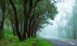 പൊന്മുടി ഇക്കോടൂറിസം; ചൊവ്വാഴ്ച മുതല് സന്ദര്ശകര്ക്ക് വിലക്ക് പൊന്മുടി ഇക്കോടൂറിസം; ചൊവ്വാഴ്ച മുതല് സന്ദര്ശകര്ക്ക് വിലക്ക്