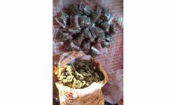 കഞ്ചാവുമായി യുവാവ് പോലിസ് പിടിയില്‍