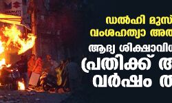ഡല്‍ഹി മുസ്‌ലിം വംശഹത്യാ അതിക്രമം; ആദ്യ ശിക്ഷാവിധിയില്‍ പ്രതിക്ക് അഞ്ച് വര്‍ഷം തടവ്