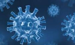 കൊവിഡ്: എറണാകുളം ജില്ലയില്‍ പ്രതിദിന രോഗികളുടെ എണ്ണം ഒമ്പതിനായിരം കടന്നു ; ടെസ്റ്റ് പോസിറ്റിവിറ്റി നിരക്ക് 45.06 %