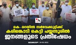 കെ റെയിൽ സർവ്വേക്കുറ്റിക്ക് കരിങ്കൊടി കെട്ടി പയ്യന്നൂരിൽ ജനങ്ങളുടെ പ്രതിഷേധം
