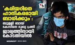 കരിയറിനെ ഹാനികരമായി ബാധിക്കും: ബുള്ളി ബായ് കേസിലെ മുഖ്യ പ്രതി ജാമ്യത്തിനായി കോടതിയില്‍