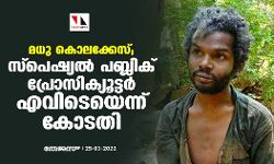 മധു കൊലക്കേസ്; സ്പെഷ്യൽ പബ്ലിക് പ്രോസിക്യൂട്ടർ എവിടെയെന്ന് കോടതി