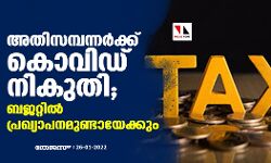 അതിസമ്പന്നർക്ക് കൊവിഡ് നികുതി; ബജറ്റിൽ പ്രഖ്യാപനമുണ്ടായേക്കും