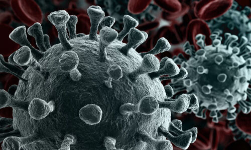ആലപ്പുഴ ജില്ലയില്‍ ഇന്ന് 2291 പേര്‍ക്ക് കൊവിഡ്