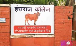 ഡല്ഹി ഹന്സ് രാജ് കോളജില് വനിതാ ഹോസ്റ്റലിനു പകരം ഗോശാല;പ്രതിഷേധവുമായി വിദ്യാര്ഥികള് ഡല്ഹി ഹന്സ് രാജ് കോളജില് വനിതാ ഹോസ്റ്റലിനു പകരം ഗോശാല;പ്രതിഷേധവുമായി വിദ്യാര്ഥികള്