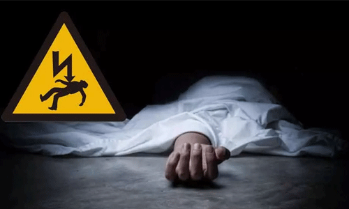 തിരൂരില്‍നിന്ന് പച്ചക്കറിയെടുക്കാന്‍ പൊള്ളാച്ചിയില്‍ പോയ വാഹനം അപകടത്തില്‍പ്പെട്ട് രണ്ട് മരണം