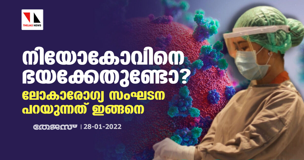 നിയോകോവിനെ ഭയക്കേണ്ടതുണ്ടോ? ലോകാരോഗ്യ സംഘടന പറയുന്നത് ഇങ്ങനെ