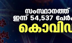 സംസ്ഥാനത്ത് ഇന്ന് 54,537 പേര്ക്ക് കൊവിഡ്; ടിപിആര് 47.05 ശതമാനം സംസ്ഥാനത്ത് ഇന്ന് 54,537 പേര്ക്ക് കൊവിഡ്; ടിപിആര് 47.05 ശതമാനം