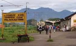 പാലക്കാട് ജില്ലയിലെ വില്ലേജ് ഓഫീസുകൾ- അക്ഷയ കേന്ദ്രങ്ങൾ- ജില്ലാ ട്രഷറി എന്നിവ ഇന്ന് തുറന്ന് പ്രവർത്തിക്കും