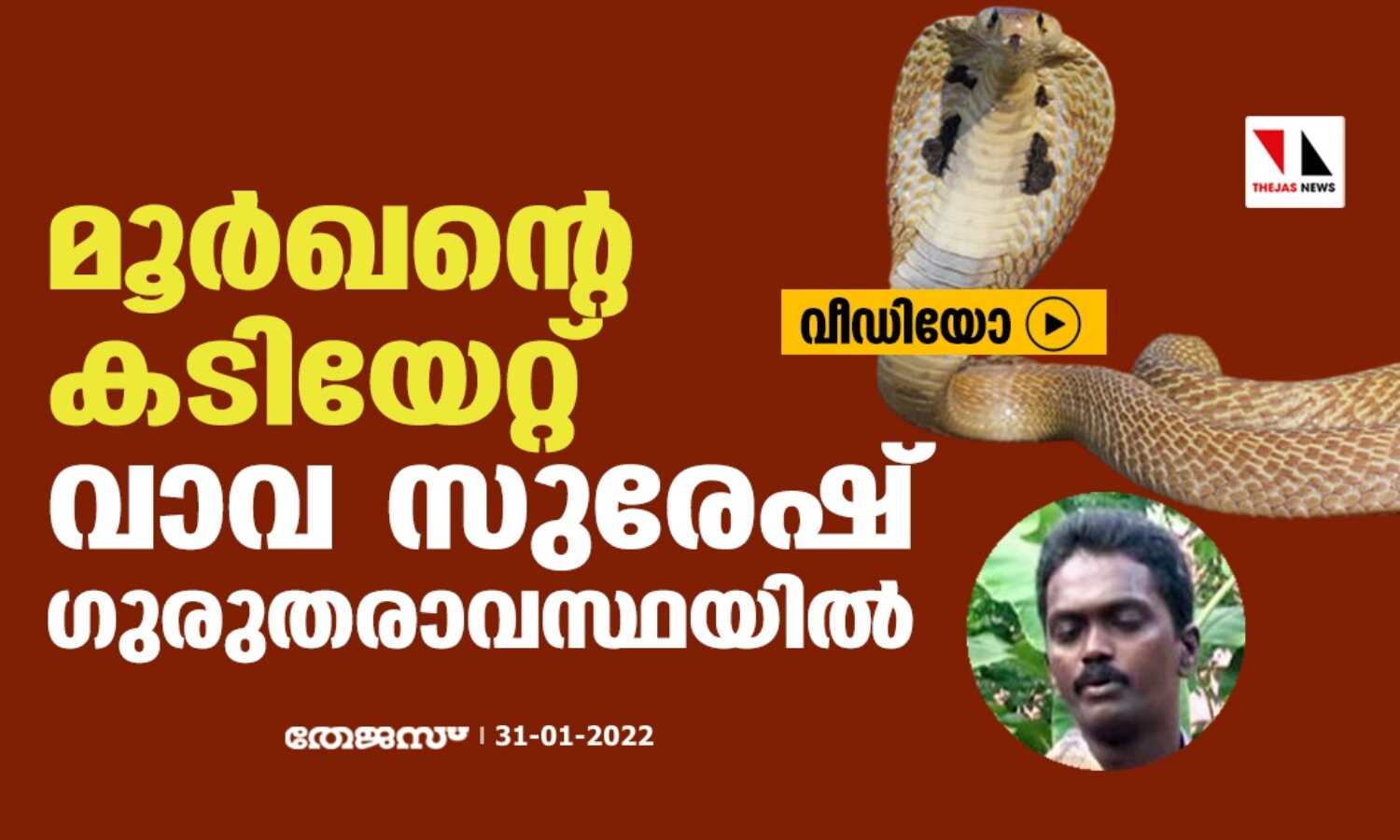 മൂര്‍ഖന്റെ കടിയേറ്റ് വാവ സുരേഷ് ഗുരുതരാവസ്ഥയില്‍ (വീഡിയോ)