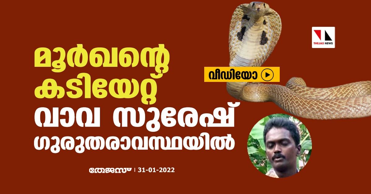 മൂര്‍ഖന്റെ കടിയേറ്റ് വാവ സുരേഷ് ഗുരുതരാവസ്ഥയില്‍ (വീഡിയോ)