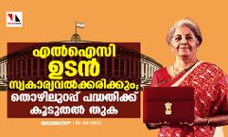എല്‍ഐസി ഉടന്‍ സ്വകാര്യവല്‍ക്കരിക്കും; തൊഴിലുറപ്പ് പദ്ധതിക്ക് കൂടുതല്‍ തുക