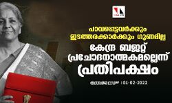 പാവപ്പെട്ടവർക്കും ഇടത്തരക്കാർക്കും ഗുണമില്ല; കേന്ദ്ര ബജറ്റ് പ്രചോദനാത്മകമല്ലെന്ന് പ്രതിപക്ഷം