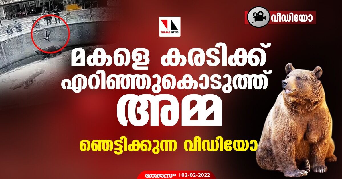 മകളെ കരടിക്ക് എറിഞ്ഞുകൊടുത്ത് അമ്മ; ഞെട്ടിക്കുന്ന വീഡിയോ മകളെ കരടിക്ക് എറിഞ്ഞുകൊടുത്ത് അമ്മ; ഞെട്ടിക്കുന്ന വീഡിയോ