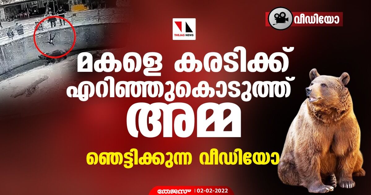 മകളെ കരടിക്ക് എറിഞ്ഞുകൊടുത്ത് അമ്മ; ഞെട്ടിക്കുന്ന വീഡിയോ