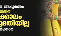 ഡിപിആര്‍ അപൂര്‍ണം; കെ-റെയിലിന് തൽക്കാലം അനുമതിയില്ല: കേന്ദ്ര സർക്കാർ