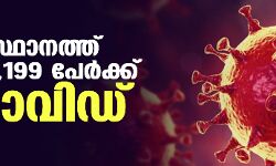 സംസ്ഥാനത്ത് ഇന്ന് 52,199 പേര്ക്ക് കൊവിഡ് സംസ്ഥാനത്ത് ഇന്ന് 52,199 പേര്ക്ക് കൊവിഡ്