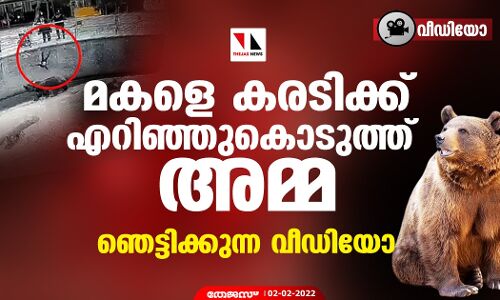 മകളെ കരടിക്ക് എറിഞ്ഞുകൊടുത്ത് അമ്മ; ഞെട്ടിക്കുന്ന വീഡിയോ