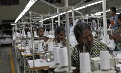 เดเตเดฐเดณ เดคเดฏเตเดฏเดฒเตโ เดคเตเดดเดฟเดฒเดพเดณเดฟ เดเตเดทเตเดฎเดจเดฟเดงเดฟ: เดฎเดธเตเดฑเตเดฑเดฑเดฟเดเต เดจเดเดคเตเดคเดฃเด เดเตเดฐเดณ เดคเดฏเตเดฏเดฒเตโ เดคเตเดดเดฟเดฒเดพเดณเดฟ เดเตเดทเตเดฎเดจเดฟเดงเดฟ: เดฎเดธเตเดฑเตเดฑเดฑเดฟเดเต เดจเดเดคเตเดคเดฃเด