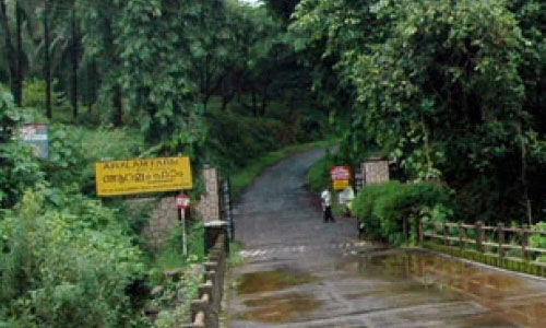 കണ്ണൂര് ആറളത്ത് മാവോവാദികള് വെടിയുതിര്ത്തതായി വനപാലകര് കണ്ണൂര് ആറളത്ത് മാവോവാദികള് വെടിയുതിര്ത്തതായി വനപാലകര്