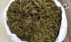 കാസർകോട് രണ്ടിടങ്ങളിൽ നിന്നായി 43 കിലോ കഞ്ചാവ് പിടികൂടി; മൂന്ന് പേര്‍ അറസ്റ്റില്‍