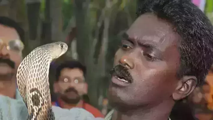 വാവ സുരേഷ് ആശുപത്രി വിട്ടു; വീട്ടില്‍ വിശ്രമം