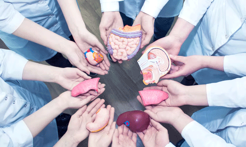 അവയവദാനത്തിന് മാതൃകയായി കോഴിക്കോട് ജില്ലാ പഞ്ചായത്ത് അവയവദാനത്തിന് മാതൃകയായി കോഴിക്കോട് ജില്ലാ പഞ്ചായത്ത്