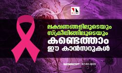 ലക്ഷണങ്ങളിലൂടെയും സ്ക്രീനിങ്ങിലൂടെയും കണ്ടെത്താം ഈ കാന്സറുകള് ലക്ഷണങ്ങളിലൂടെയും സ്ക്രീനിങ്ങിലൂടെയും കണ്ടെത്താം ഈ കാന്സറുകള്