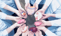 അവയവദാനത്തിന് മാതൃകയായി കോഴിക്കോട് ജില്ലാ പഞ്ചായത്ത്