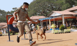 เดชเตเดฐเดเดเดจเด เดเตเดฃเตเดเต เดเดพเดฃเดฟเดเดณเต เดเดฏเตเดฏเดฟเดฒเตเดเตเดคเตเดคเต เดถเตเดตเดพเดจเดชเด เดชเตเดฐเดเดเดจเด เดเตเดฃเตเดเต เดเดพเดฃเดฟเดเดณเต เดเดฏเตเดฏเดฟเดฒเตเดเตเดคเตเดคเต เดถเตเดตเดพเดจเดชเด