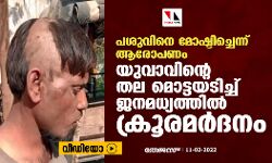 പശുവിനെ മോഷ്ടിച്ചെന്ന് ആരോപണം;  യുവാവിന്റെ തല മൊട്ടയടിച്ച് ജനമധ്യത്തില്‍ ക്രൂരമര്‍ദനം (വീഡിയോ)