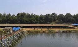 മാരാമണ്‍ കണ്‍വന്‍ഷന്‍: മാര്‍ഗനിര്‍ദേശം പുറപ്പെടുവിച്ചു