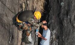 เดฏเตเดตเดพเดตเต เดฎเดฒเดฏเดฟเดฒเตโ เดเตเดเตเดเตเดเดฟเดฏ เดธเดเดญเดตเด; เดฐเดเตเดทเดพเดชเตเดฐเดตเดฐเตโเดคเตเดคเดจเดคเตเดคเดฟเดฒเตโ เดตเตเดดเตเด เดเดฐเตเดชเดฟเดเตเดเต เดเดฟเดฒเตเดฒเดพ เดซเดฏเดฐเตโ เดเดซเดฟเดธเดฐเตโเดเตเดเต เดเดพเดฐเดฃเด เดเดพเดฃเดฟเดเตเดเดฒเตโ เดจเตเดเตเดเดฟเดธเต เดฏเตเดตเดพเดตเต เดฎเดฒเดฏเดฟเดฒเตโ เดเตเดเตเดเตเดเดฟเดฏ เดธเดเดญเดตเด; เดฐเดเตเดทเดพเดชเตเดฐเดตเดฐเตโเดคเตเดคเดจเดคเตเดคเดฟเดฒเตโ เดตเตเดดเตเด เดเดฐเตเดชเดฟเดเตเดเต เดเดฟเดฒเตเดฒเดพ เดซเดฏเดฐเตโ เดเดซเดฟเดธเดฐเตโเดเตเดเต เดเดพเดฐเดฃเด เดเดพเดฃเดฟเดเตเดเดฒเตโ เดจเตเดเตเดเดฟเดธเต