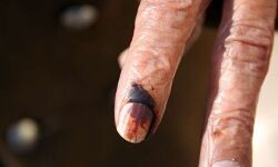 നിയമസഭാ തിരഞ്ഞെടുപ്പ്: ഗോവയിലും ഉത്തരാഖണ്ഡിലും യുപിയിലും പോളിങ് തുടങ്ങി