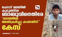 ചെറാട് മലയിൽ കുടുങ്ങിയ ബാബുവിനെതിരേ വനത്തിൽ അതിക്രമിച്ചു കടന്നതിന് കേസ്