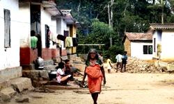 വയനാട്ടില്‍ ആദിവാസി കുടുംബങ്ങള്‍ക്ക് ഭൂമി ലഭ്യമാക്കാന്‍ പദ്ധതി