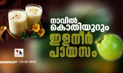 നാവില്‍ കൊതിയൂറും ഇളനീര്‍ പായസം