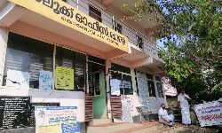 ഭൂമി സർവ്വേ നടത്തിയില്ല; കൊണ്ടോട്ടി താലൂക്ക് ഓഫീസിന് മുന്നിൽ കുത്തിയിരുപ്പ് സമരം