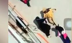 ഗാസിയാബാദില്‍ ഹിജാബ് നിരോധനത്തിനെതിരേ സമരം ചെയ്ത സ്ത്രീകള്‍ക്ക് മര്‍ദ്ദനം