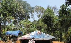 സംസ്ഥാനത്തെ ഏറ്റവും വലിയ ആദിവാസി പുനരധിവാസ കേന്ദ്രം പരൂര്‍കുന്നില്‍ ഒരുങ്ങുന്നു