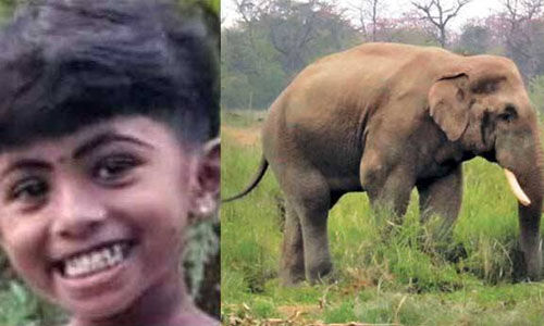 അതിരപ്പിള്ളിയിലെ കാട്ടാനയുടെ ആക്രമണം: മരിച്ച അഞ്ച് വയസ്സുകാരിയുടെ മുത്തച്ഛന്‍ കുഴഞ്ഞുവീണ് മരിച്ചു