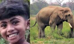 അതിരപ്പിള്ളിയിലെ കാട്ടാനയുടെ ആക്രമണം: മരിച്ച അഞ്ച് വയസ്സുകാരിയുടെ മുത്തച്ഛന്‍ കുഴഞ്ഞുവീണ് മരിച്ചു